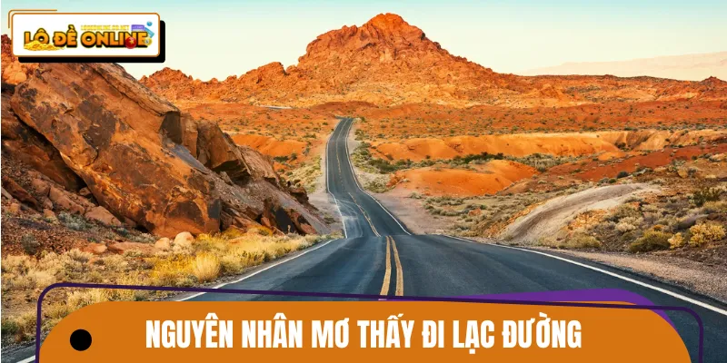 Các nguyên nhân bạn nằm mơ đi lạc đường thường xuyên